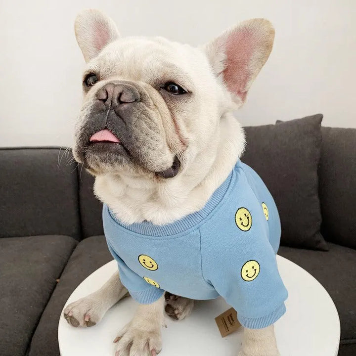 Smile Face Family Matching Dog Outfits | 100% Cotton - themiraclebrands.com
