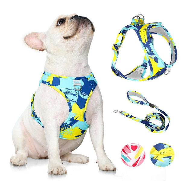 Printed Pet Chest Strap and Leash for Small Medium Dogs - themiraclebrands.com