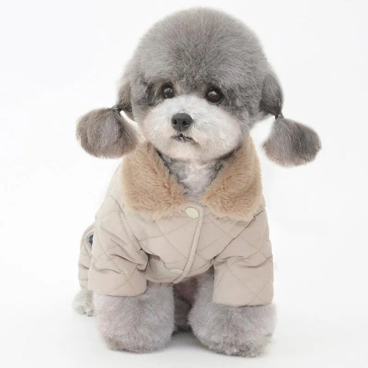Winter Pet Cotton Coat | Casual Style - themiraclebrands.com