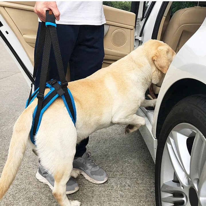 Adjustable Dog Lift Harness | Pet Support Sling - themiraclebrands.com