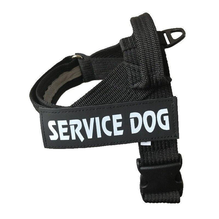 Personalized Adjustable Dog Harness Vest - themiraclebrands.com