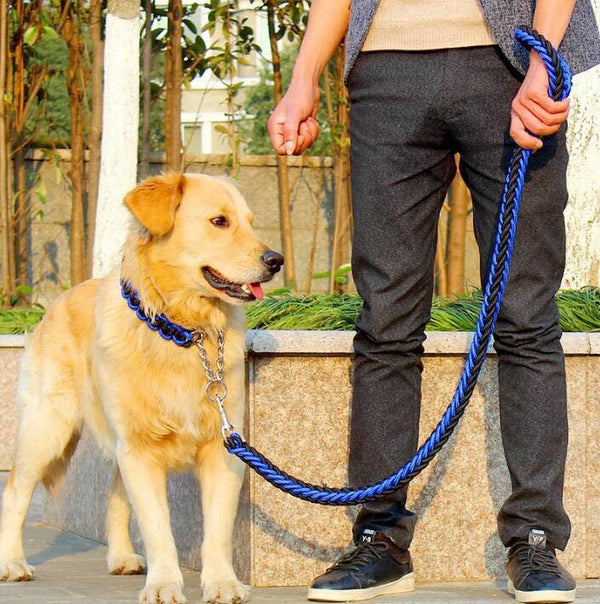 Double Strand Rope Dog Leash with Metal P Chain Buckle - themiraclebrands.com