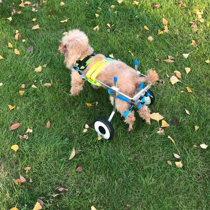 Adjustable Dog Wheelchair for Disabled Pets - themiraclebrands.com