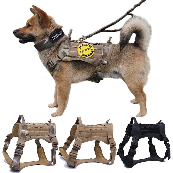 Military Tactical Dog Harness with Handle and Bungee Leash - themiraclebrands.com