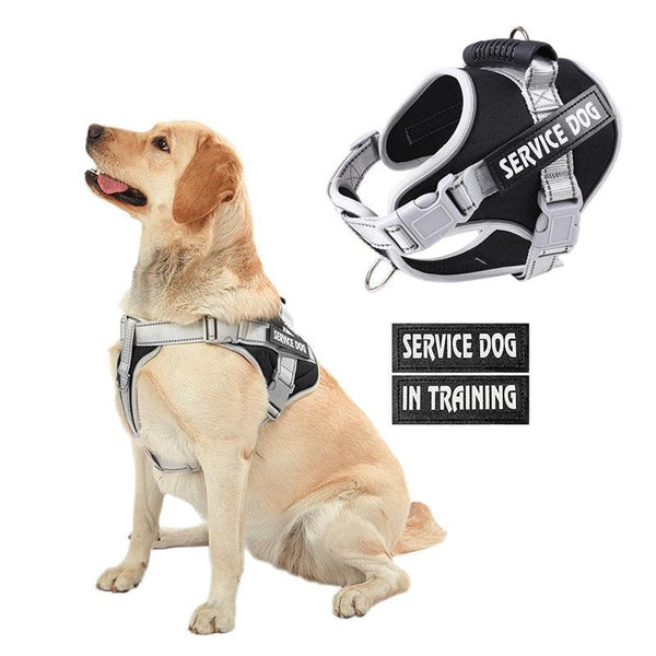 Personalized Reflective Nylon Dog Chest Strap | Large Dog Vest Style - themiraclebrands.com