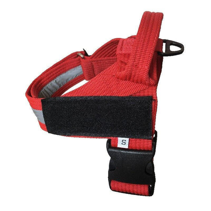 Personalized Adjustable Dog Harness Vest - themiraclebrands.com