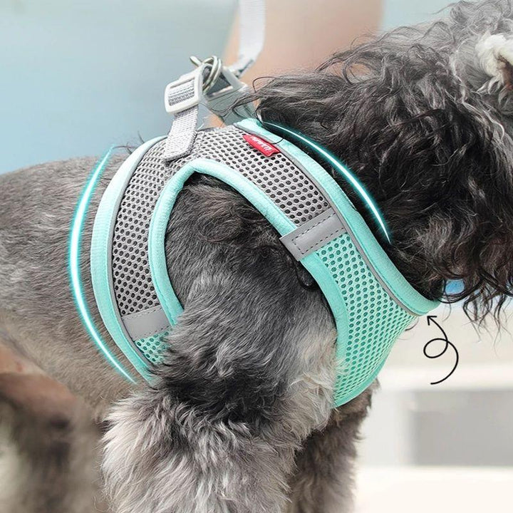 Reflective Oxford Vest Dog Harness Set - themiraclebrands.com