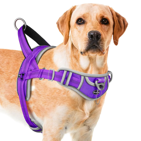 ADVENTURE CONTROL Medium Dog Harness