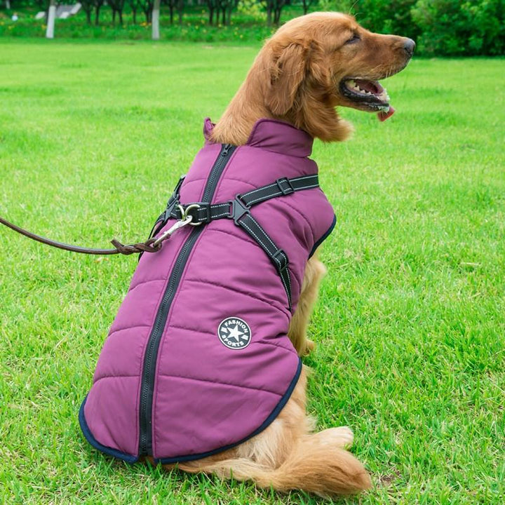 Reflective Big Dog Rush Suit Warm Dog Clothes - themiraclebrands.com