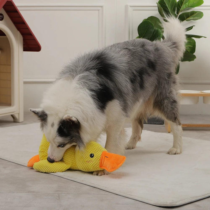 Duck Shape Dog Toy Interactive Chew Training Toy - themiraclebrands.com