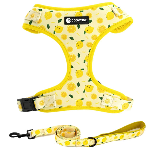 Vibrant Comfort Dog Harness Set