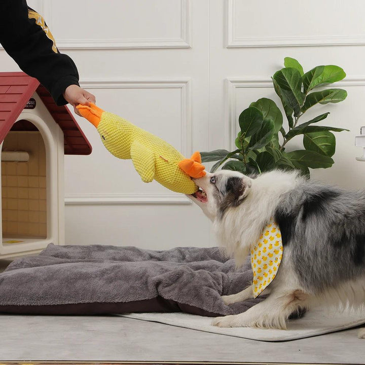 Duck Shape Dog Toy Interactive Chew Training Toy - themiraclebrands.com