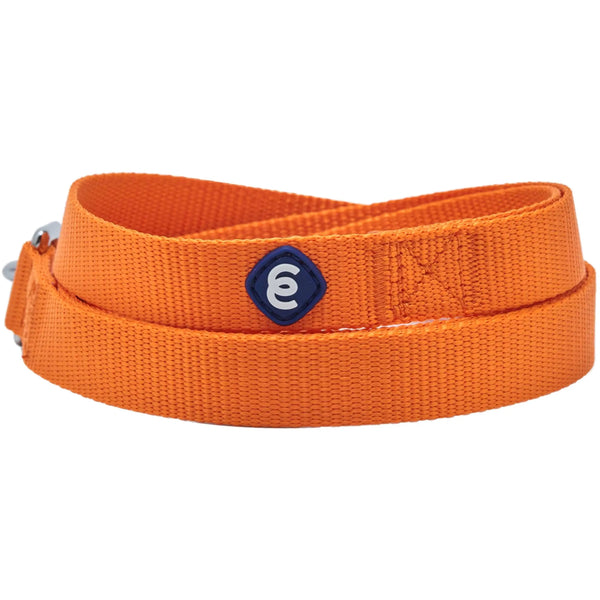 Blueberry Pet Classic Nylon Dog Leash