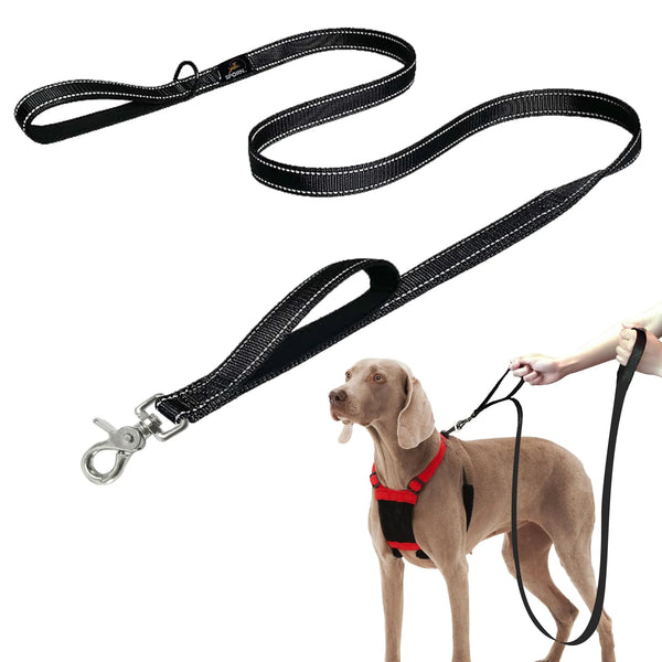 Sporn Dual-Handle Reflective Dog Leash 6ft - Black