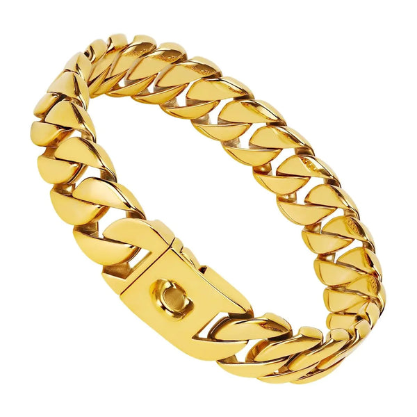 Luxury Gold 316L Stainless Steel Dog Collar