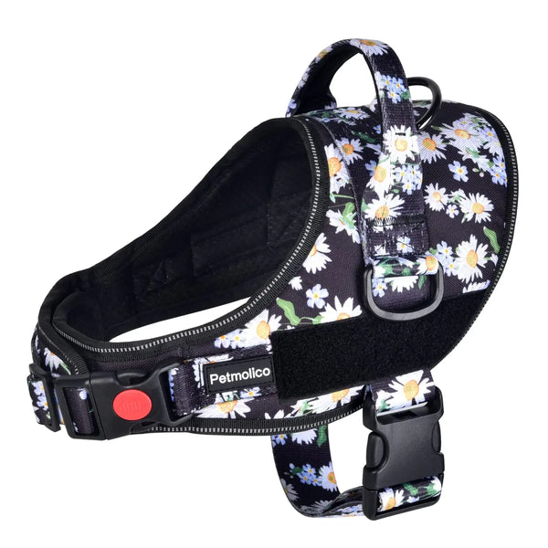 Daisy Delight Service Dog Vest
