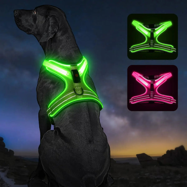 GlowGuide Reflective Dog Harness