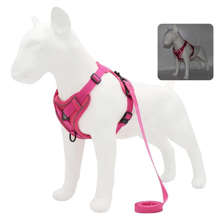 No Pull Dog Harness and Leash Set - themiraclebrands.com