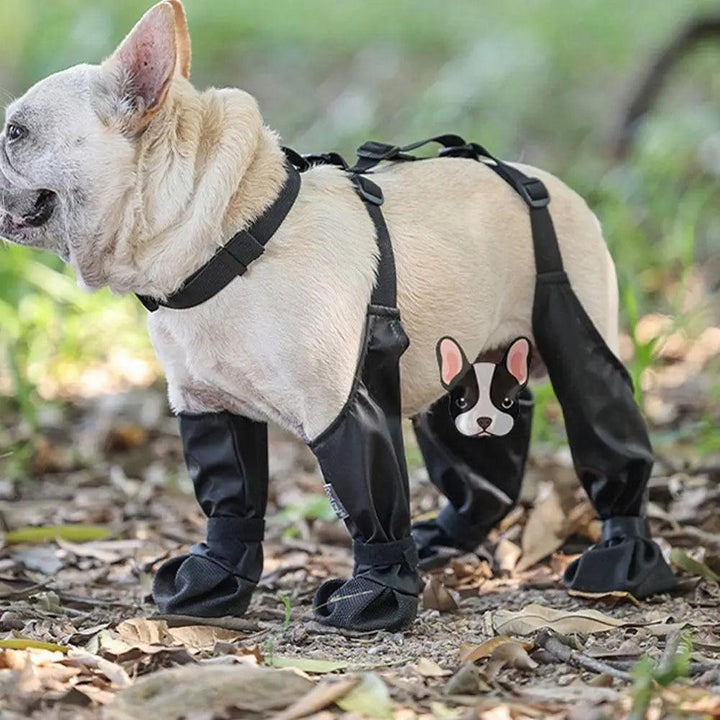 Anti-Slip Dog Shoes - themiraclebrands.com