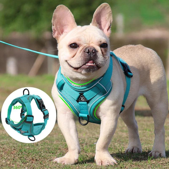 No Pull Dog Harness and Leash Set - themiraclebrands.com