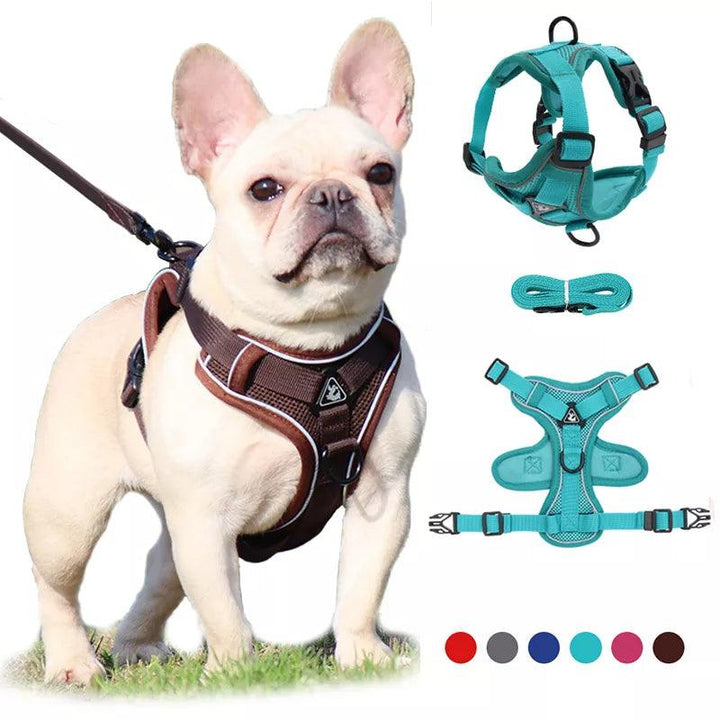 No Pull Dog Harness and Leash Set - themiraclebrands.com