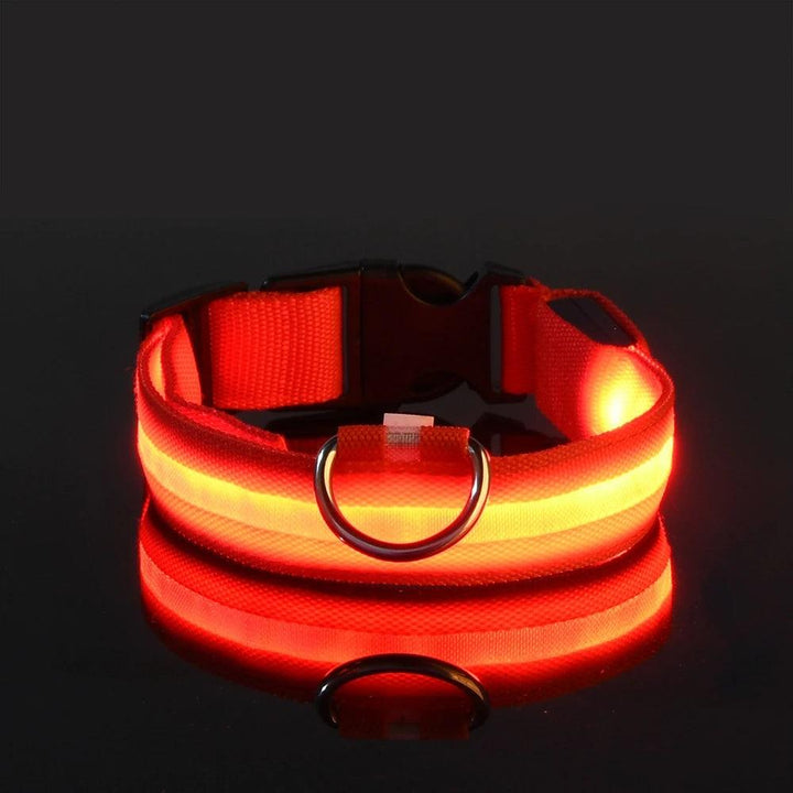 Nylon LED Dog Collar - themiraclebrands.com