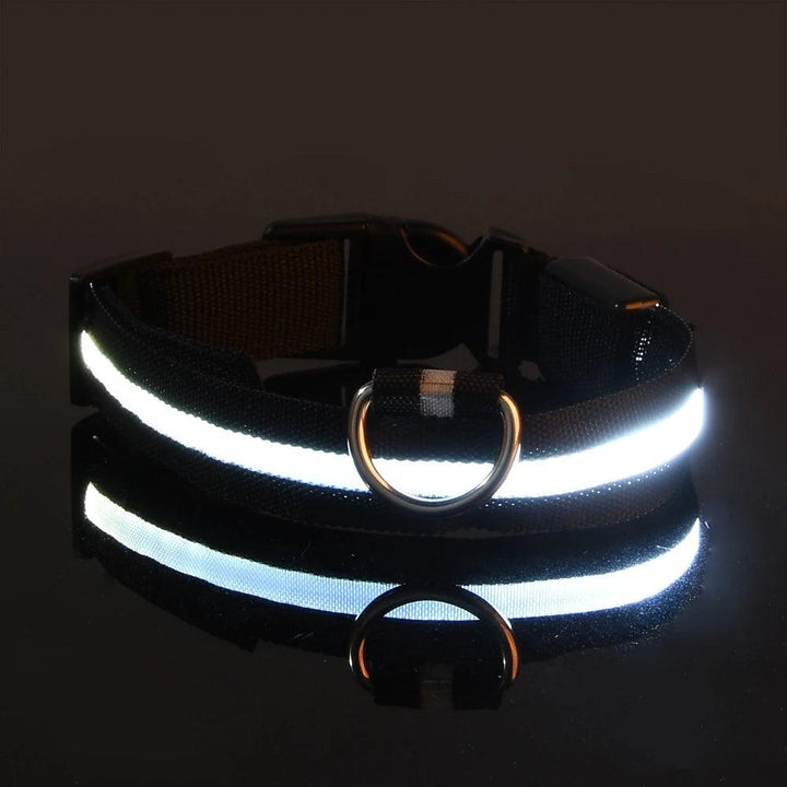 Nylon LED Dog Collar - themiraclebrands.com