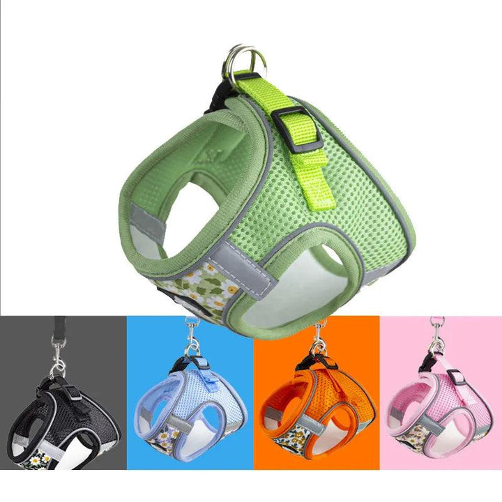 Nylon Mesh Cat and Dog Harness and Leash - themiraclebrands.com