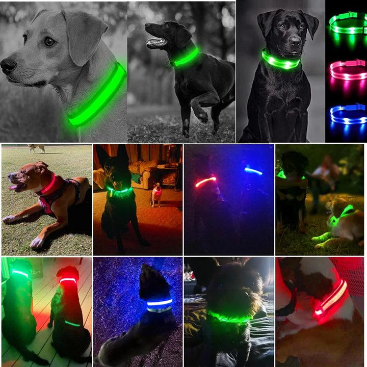 Adjustable LED Glowing Dog Collar - themiraclebrands.com