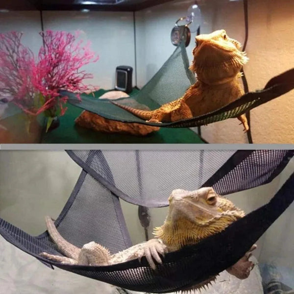 Reptile Hammock Lounger Ladder for Bearded Dragons & Geckos