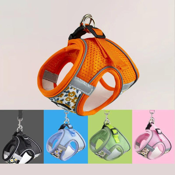 Nylon Mesh Cat and Dog Harness and Leash - themiraclebrands.com