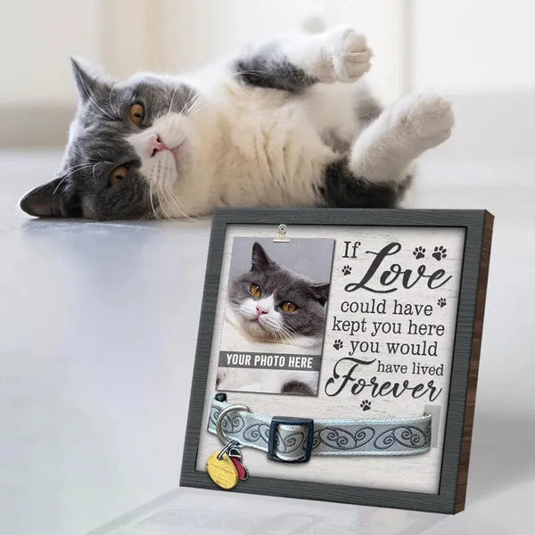 Pet Memorial Photo Frame with Cat and Dog Collar Design