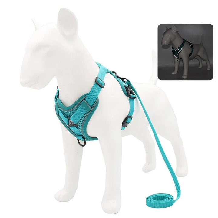 No Pull Dog Harness and Leash Set - themiraclebrands.com