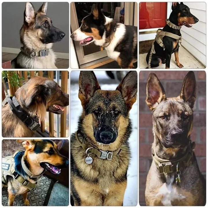 Police Dog Collar - themiraclebrands.com