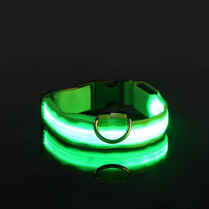 Nylon LED Dog Collar - themiraclebrands.com