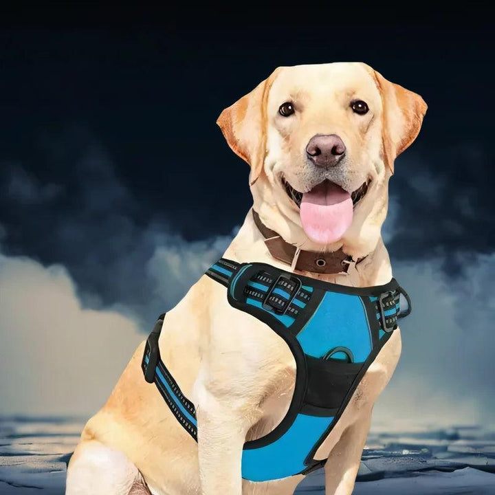 Reflective Dog Harness with Handle - themiraclebrands.com