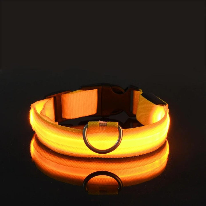 Nylon LED Dog Collar - themiraclebrands.com