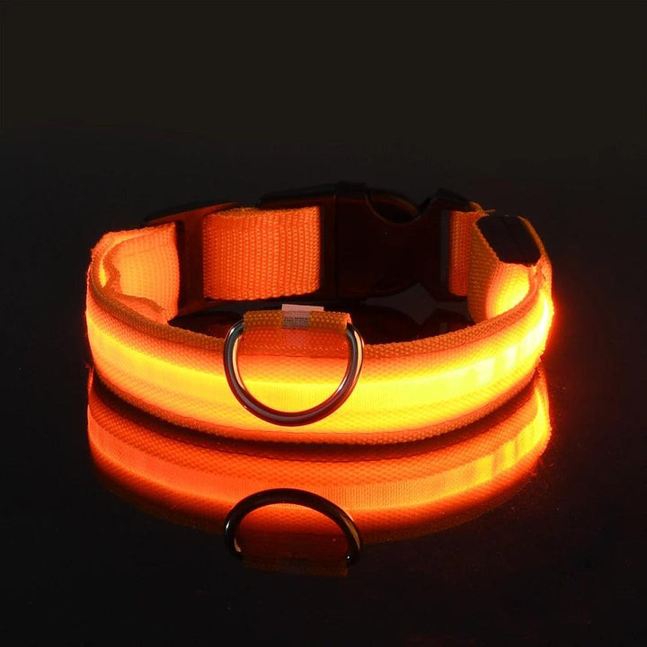 Nylon LED Dog Collar - themiraclebrands.com