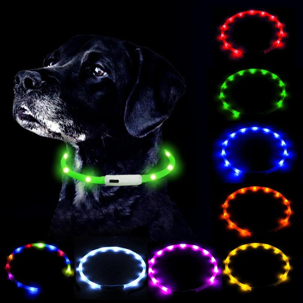 USB LED Dog Collar - themiraclebrands.com