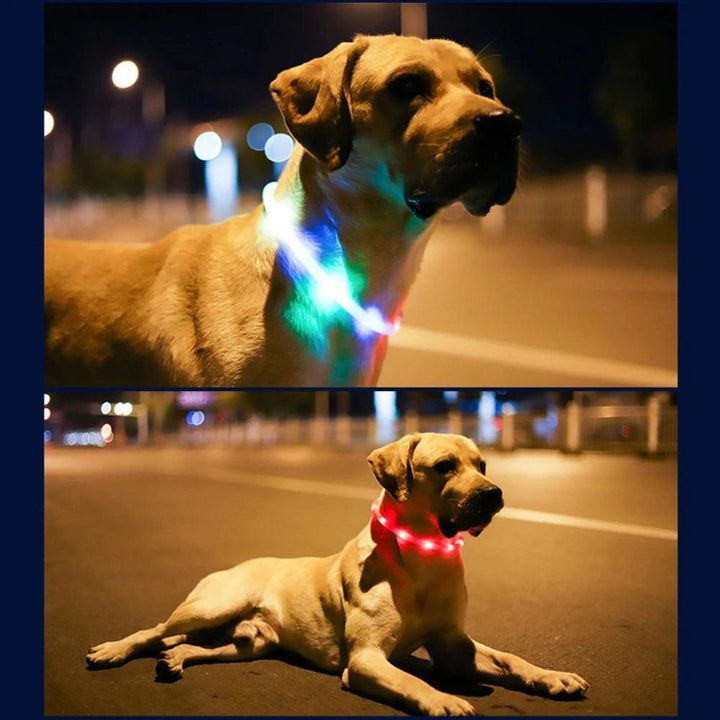 USB LED Dog Collar - themiraclebrands.com