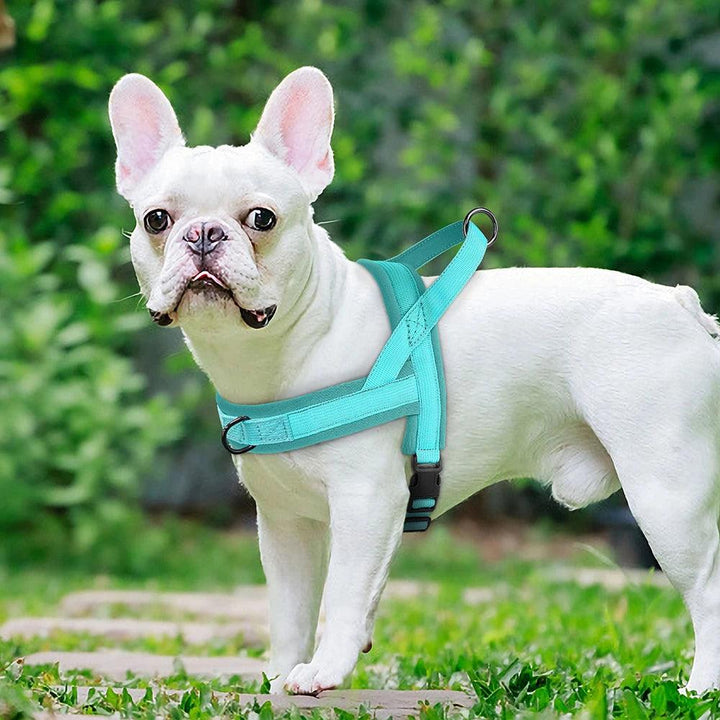 Nylon Dog Harness No Pull Vest - themiraclebrands.com