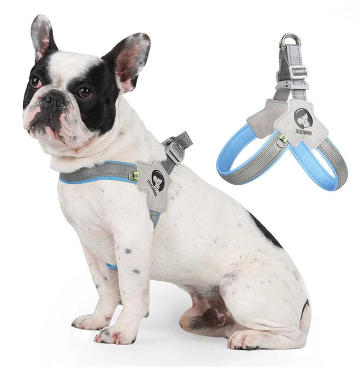 Adjustable Dog Harness for Small Medium Dogs - themiraclebrands.com