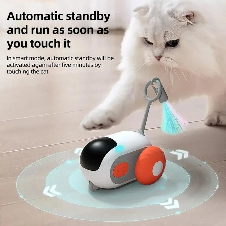 Smart Cat Toy Car - themiraclebrands.com