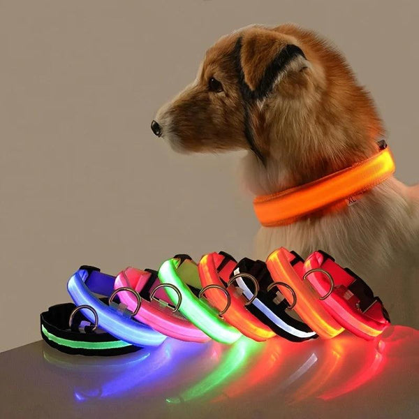 Nylon LED Dog Collar - themiraclebrands.com