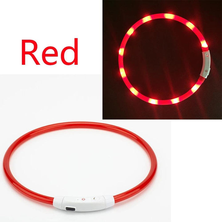 USB LED Dog Collar - themiraclebrands.com