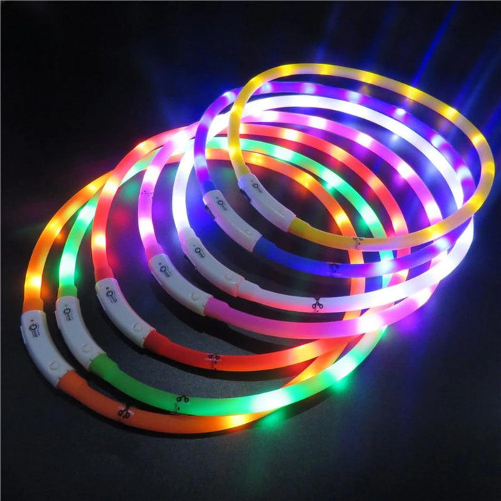 USB LED Dog Collar - themiraclebrands.com