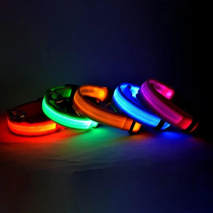 Nylon LED Dog Collar - themiraclebrands.com