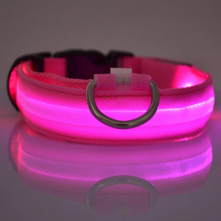 Nylon LED Dog Collar - themiraclebrands.com