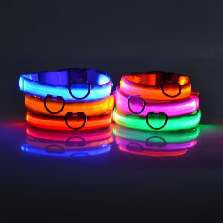 Nylon LED Dog Collar - themiraclebrands.com