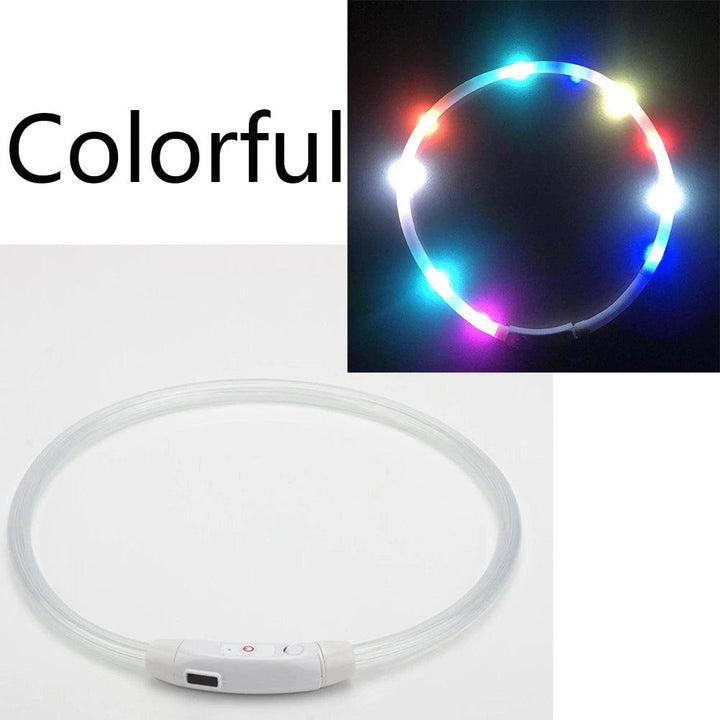 USB LED Dog Collar - themiraclebrands.com